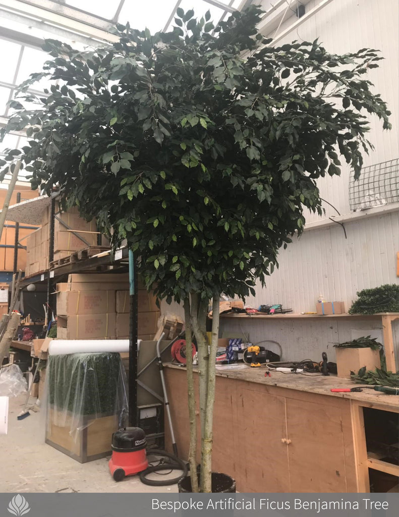 large artificial tree, ficus benjamina tree