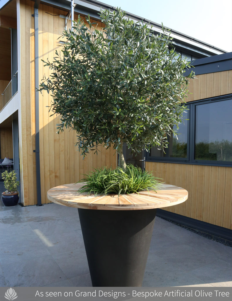 Grand Designs Bespoke Olive Tree