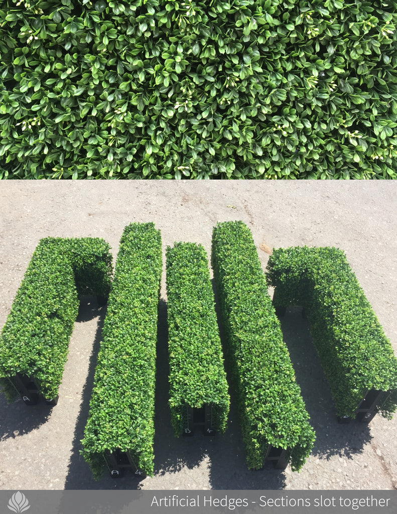 Artificial Hedges - Boxwood hedges handmade by Ascott