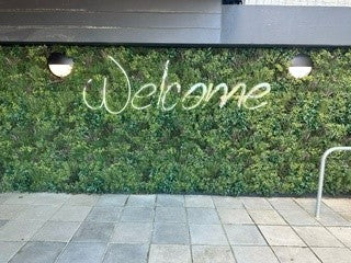 Artificial Green Wall Panel - 1 sq.m
