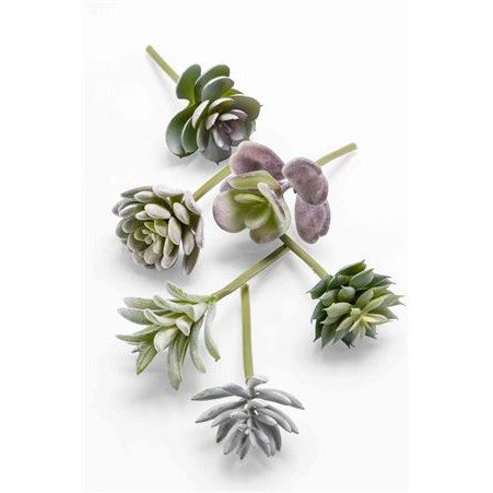 Artificial Plants - Mini Succulents