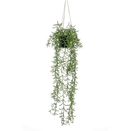 Artificial Plant - Senecio Hanging Bush