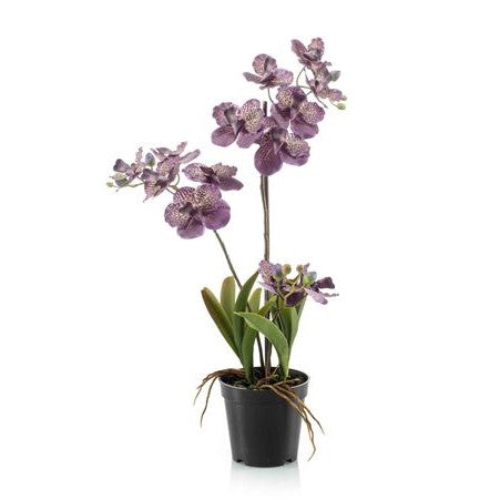 Artificial Orchid - Vanda Orchid