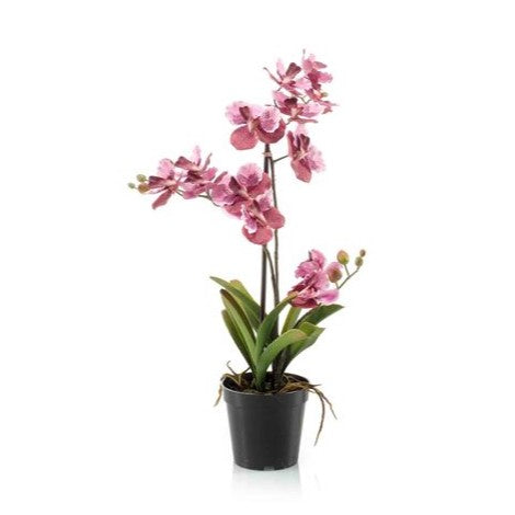 Artificial Orchid - Vanda Orchid