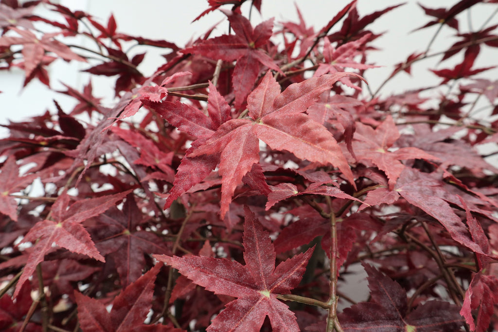 Artificial Tree - Red Maple