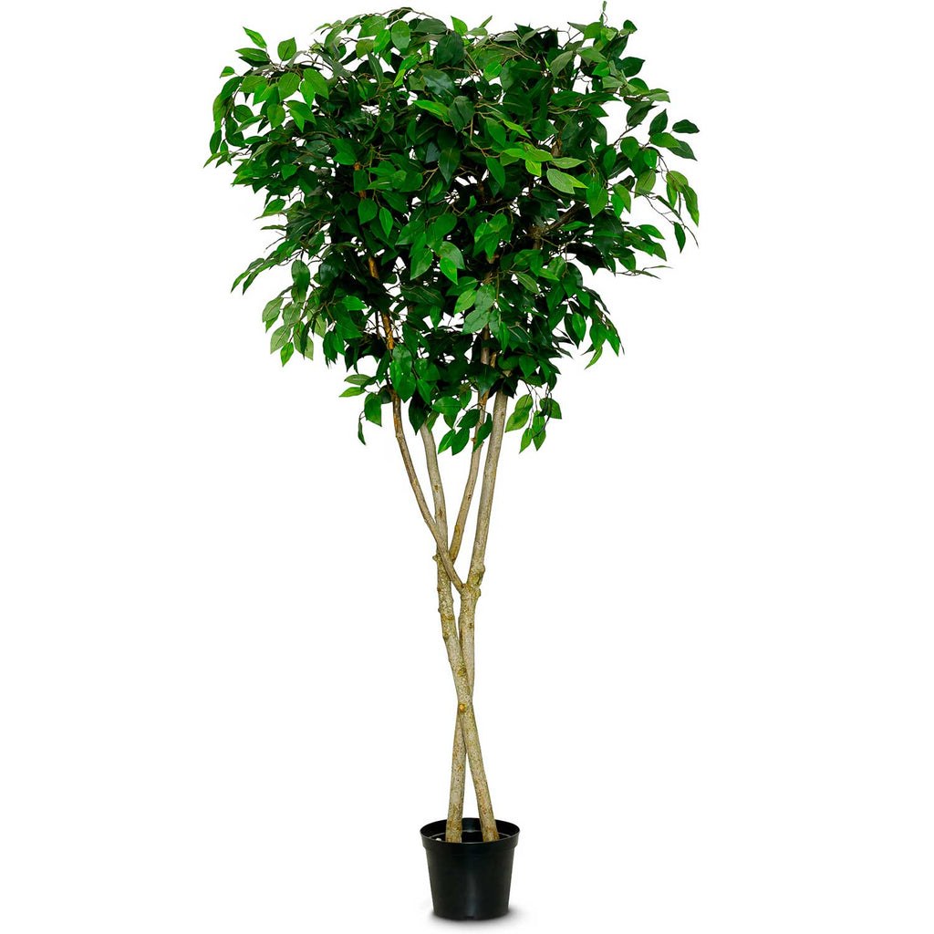 Artificial Tree - Ficus Benjamina - Green Leaf