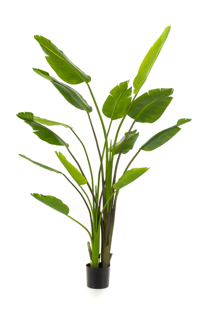 Artificial Plant - Strelitzia Plant